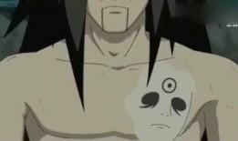 土豆火影忍者在线观看,在线重温经典忍者传奇