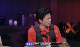 爆料娱乐圈丁禹兮,娱乐圈爆料背后的真相与争议